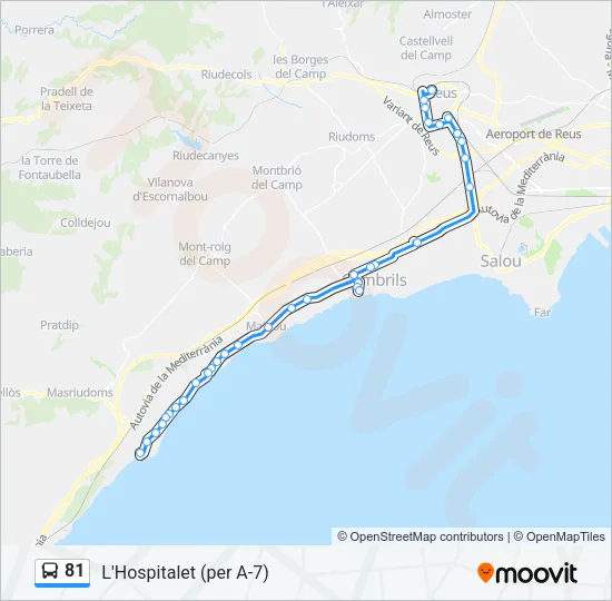 81 Bus Line Map