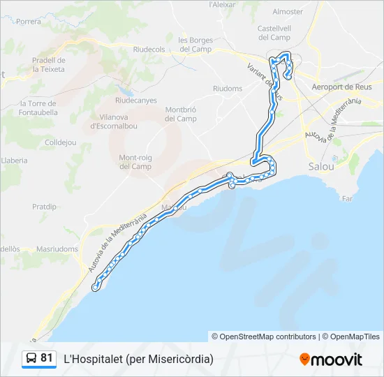 81 Bus Line Map