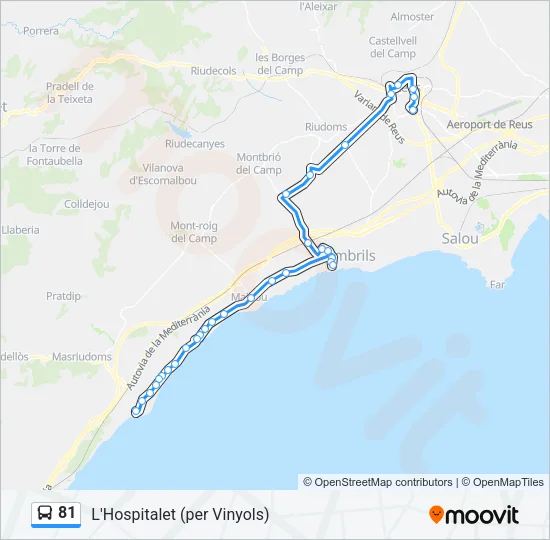 81 Bus Line Map