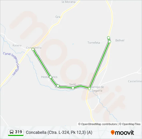 319 Bus Line Map