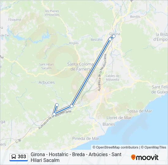303 Bus Line Map