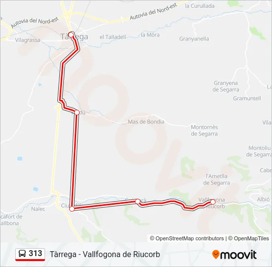 313 Bus Line Map