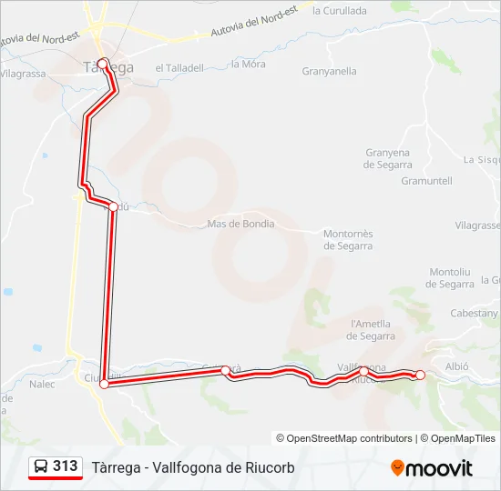 313 Bus Line Map
