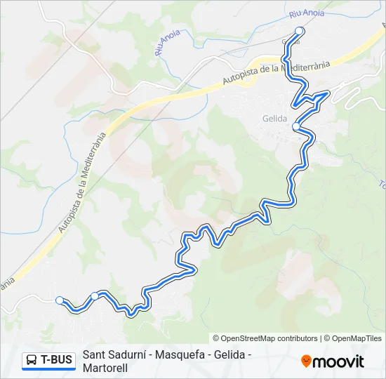 T-BUS Bus Line Map