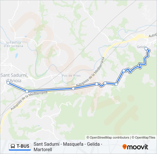 T-BUS Bus Line Map