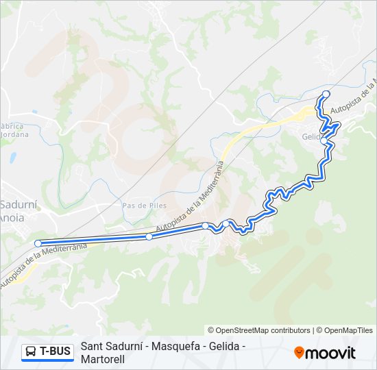T-BUS Bus Line Map