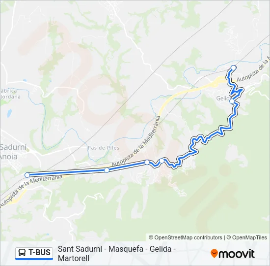 T-BUS Bus Line Map