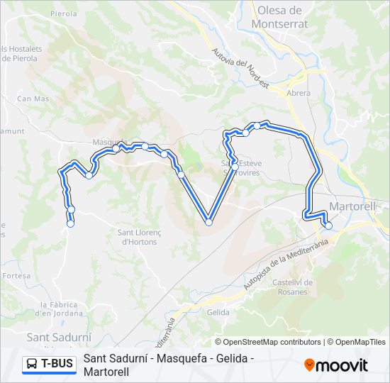 T-BUS Bus Line Map
