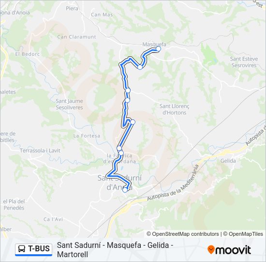 T-BUS Bus Line Map