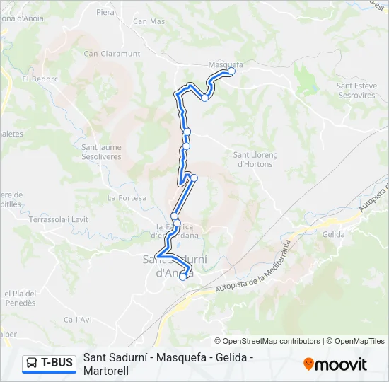 T-BUS Bus Line Map