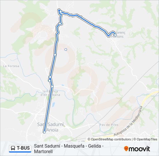 T-BUS Bus Line Map