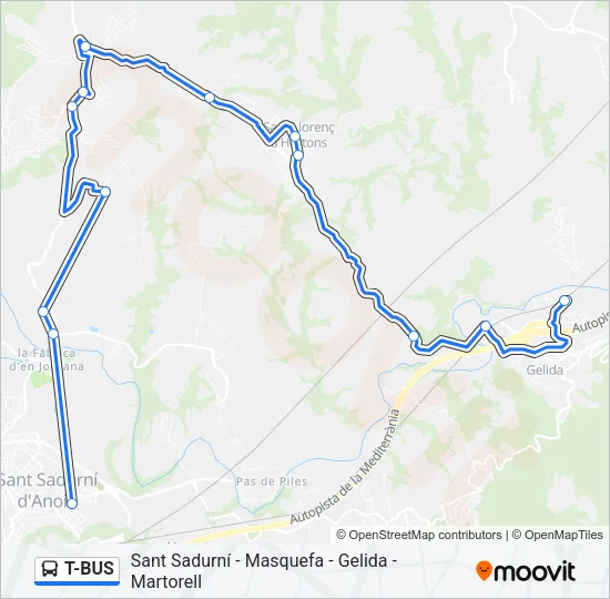 T-BUS Bus Line Map