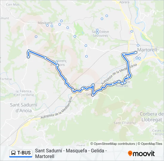 T-BUS Bus Line Map