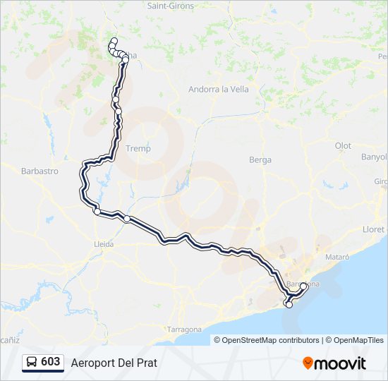 603 Bus Line Map