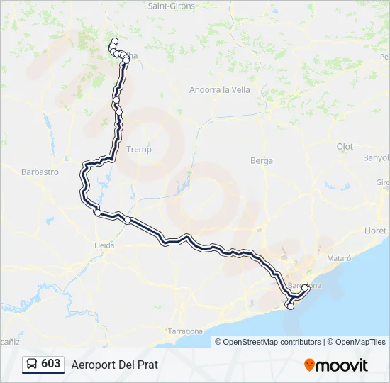 603 Bus Line Map