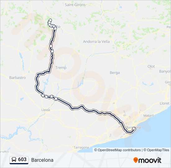 603 Bus Line Map