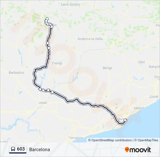 603 Bus Line Map