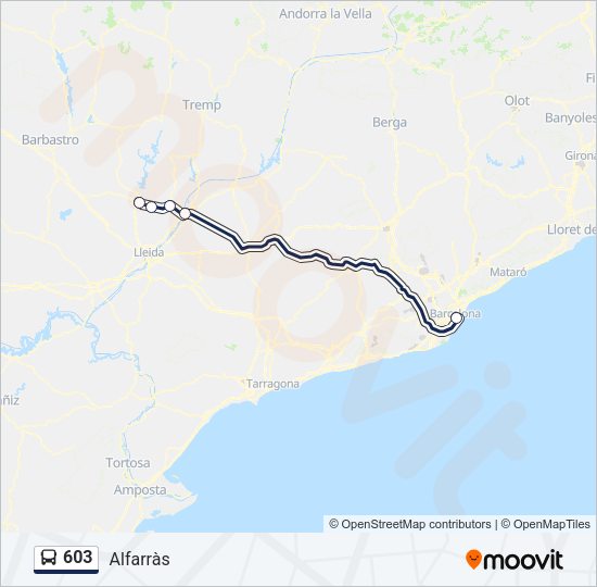 603 Bus Line Map