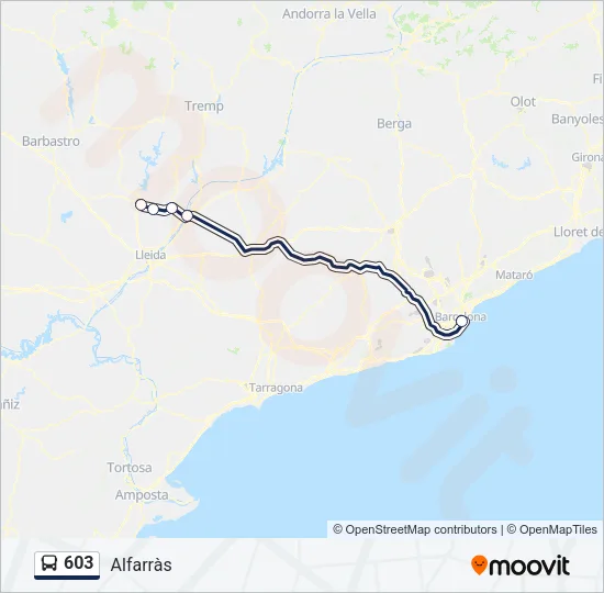 603 Bus Line Map