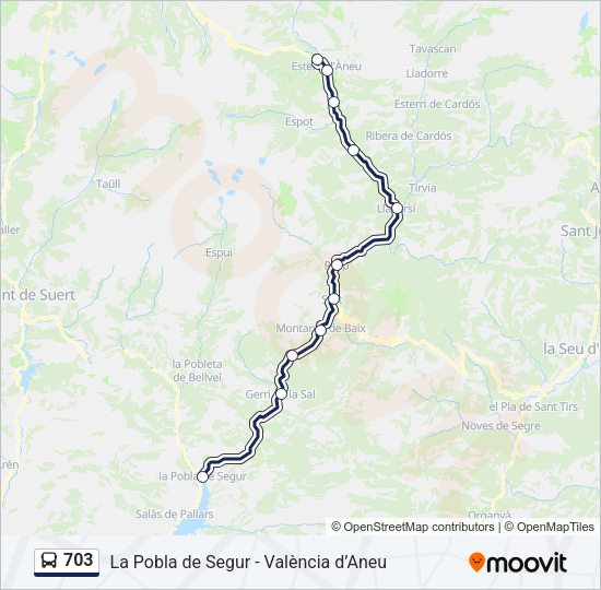 703 Bus Line Map