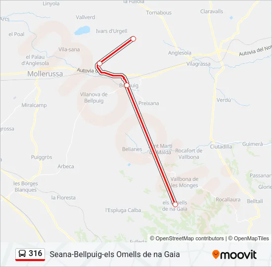 316 Bus Line Map