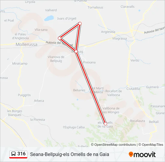 316 Bus Line Map