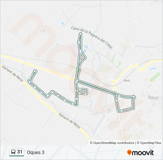 31 Bus Line Map
