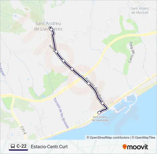C-22 Bus Line Map