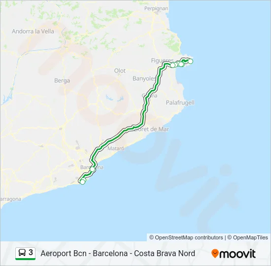 3 Bus Line Map