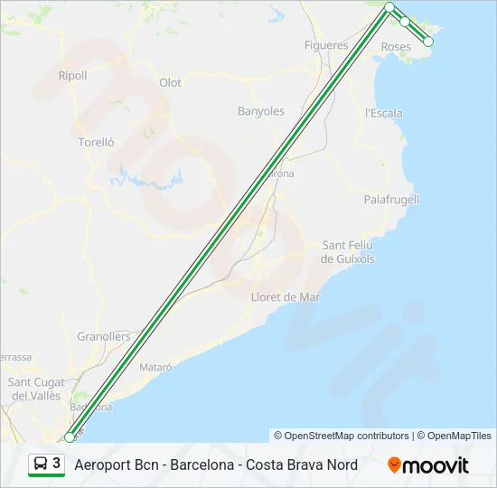 3 Bus Line Map