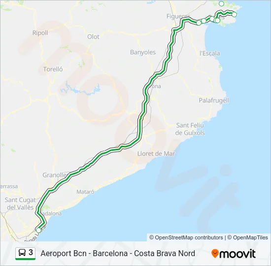 3 Bus Line Map