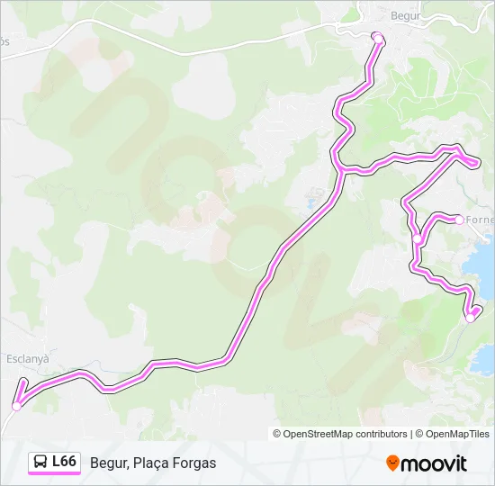 L66 Bus Line Map