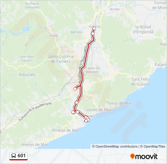 601 Bus Line Map