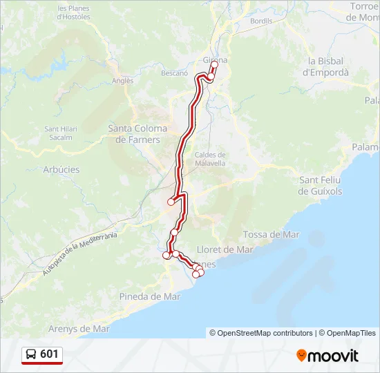 601 Bus Line Map