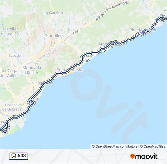 603 Bus Line Map