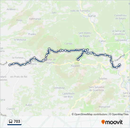 703 Bus Line Map