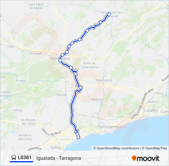 L0381 Bus Line Map