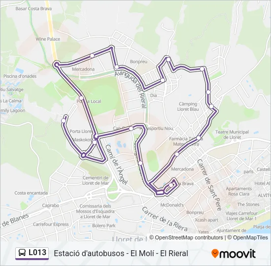 L013  Line Map