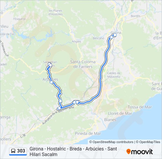 Mapa de 303 de autobús