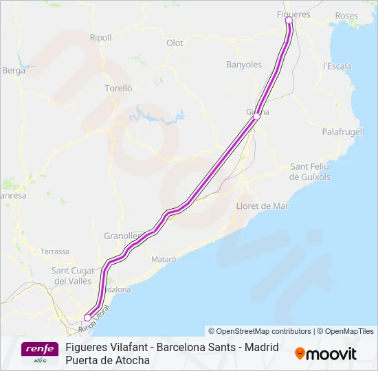 AVE Train Line Map