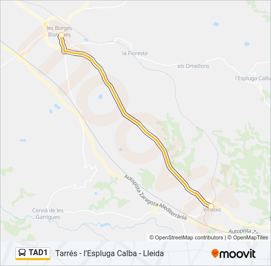 TAD1 Bus Line Map