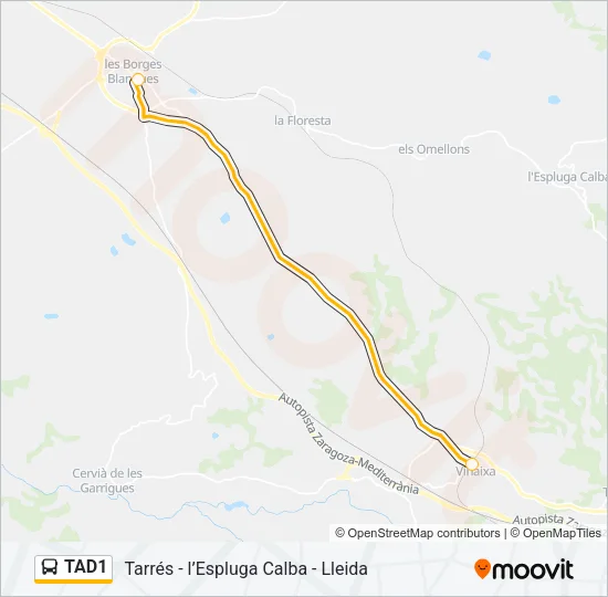 TAD1 Bus Line Map