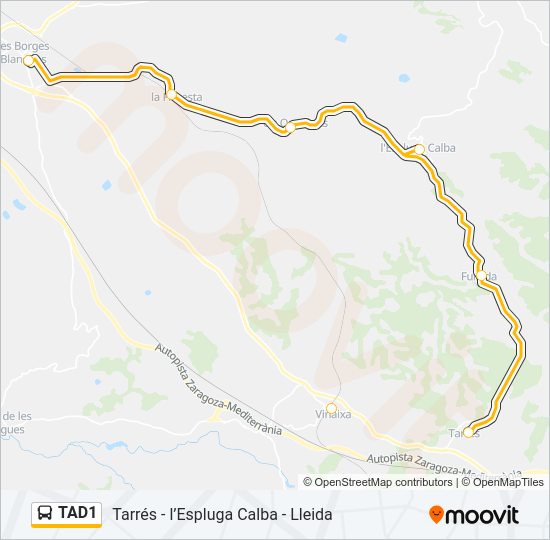 TAD1 Bus Line Map