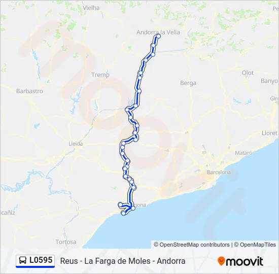 L0595 Bus Line Map