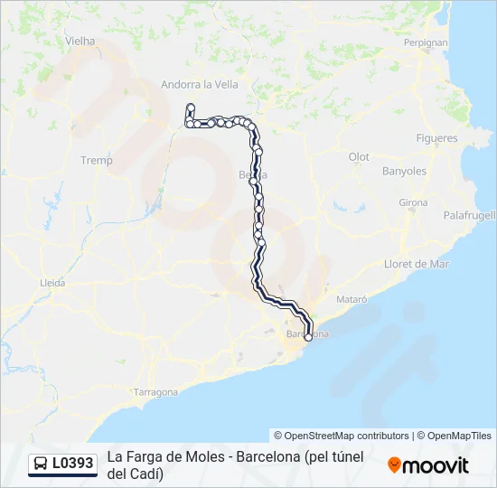 L0393 Bus Line Map