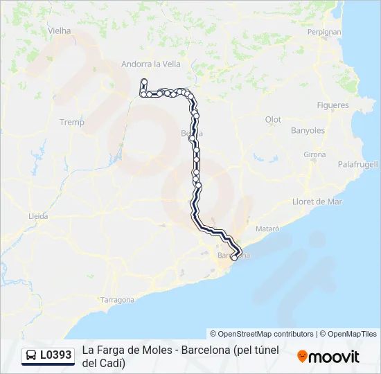 L0393 Bus Line Map
