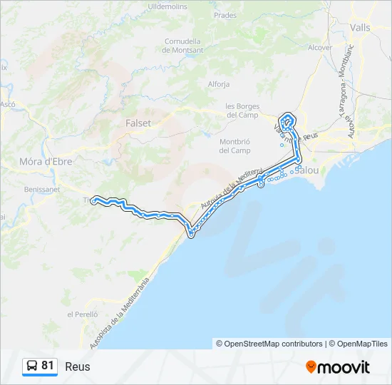 81 Bus Line Map