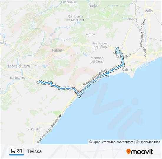 81 Bus Line Map