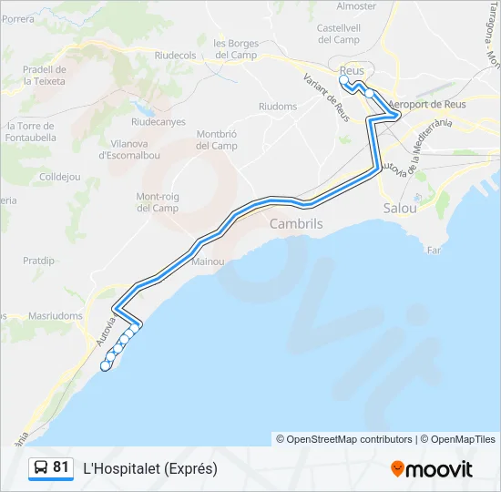 81 Bus Line Map