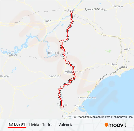 L0981 Bus Line Map